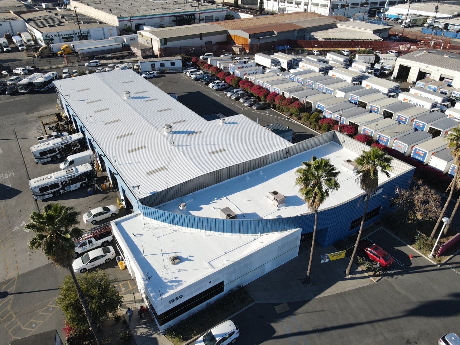 Industrial Facility roof